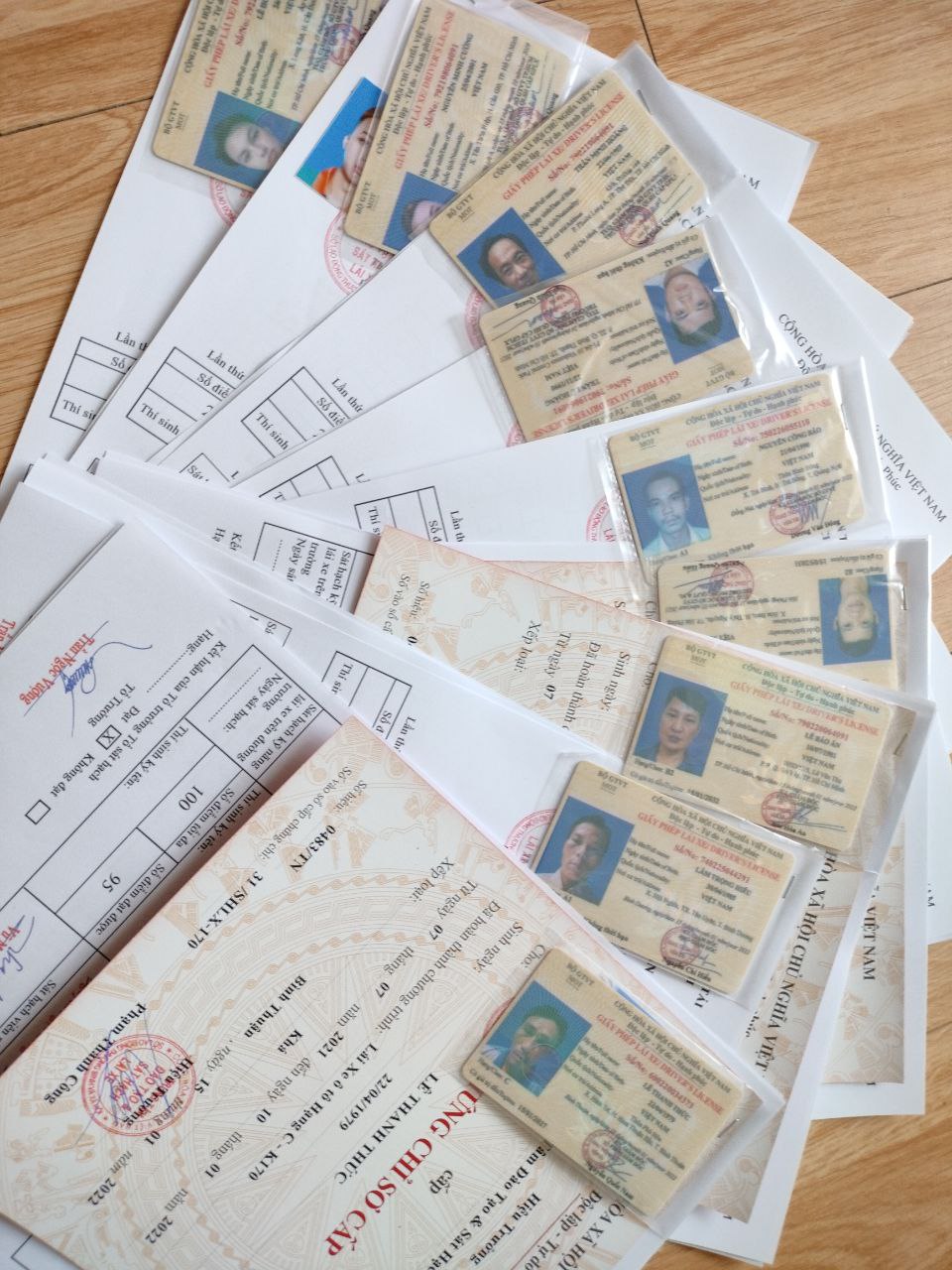 Cách Kiểm Tra Bằng Lái Xe Thật Giả Nhanh Chóng & Chính Xác