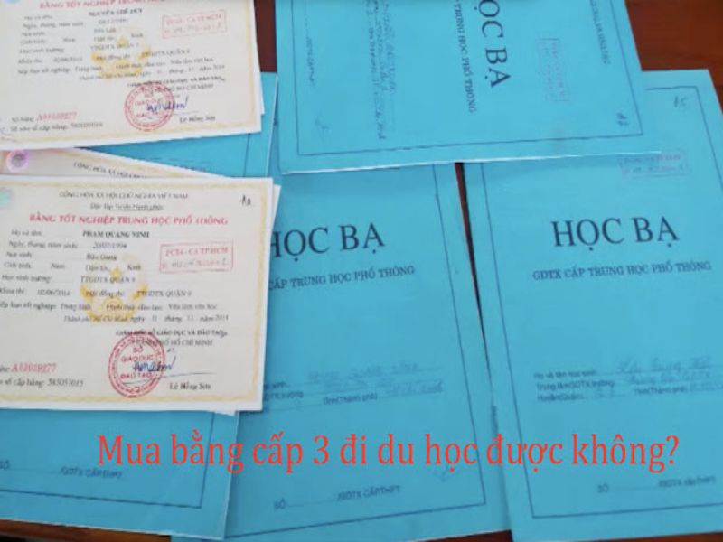 Bằng Cấp 3 Có Thể Đi Du Học Hay Xuất Khẩu Lao Động Không?
