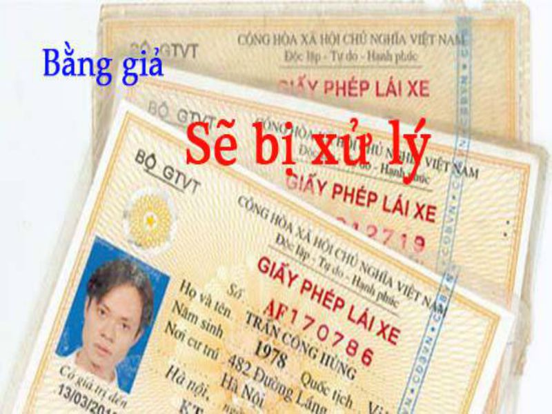 Bằng Lái Xe Giả – Lợi Ích Và Rủi Ro
