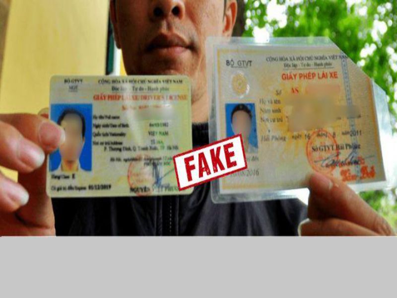 Cách Phân Biệt Cà Vẹt Giả Và Thật