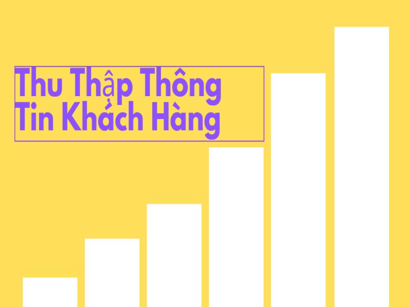 Thu thập thông tin